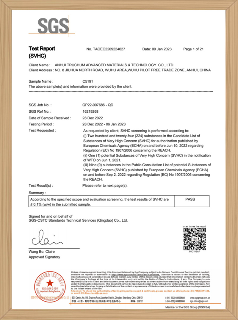 SGS - Test Report