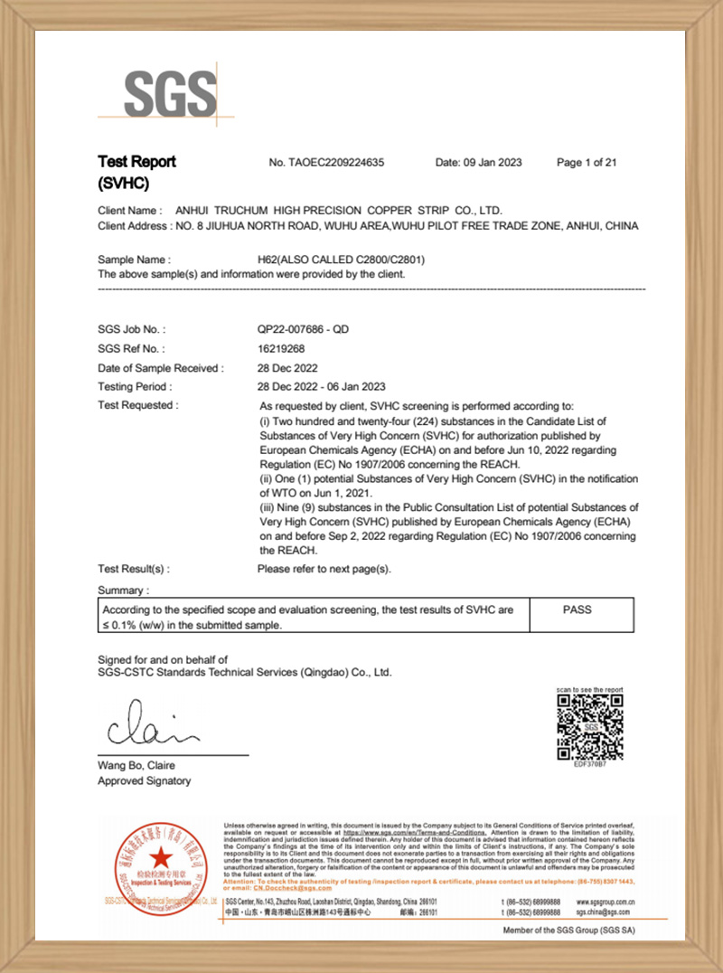 SGS - Test Report