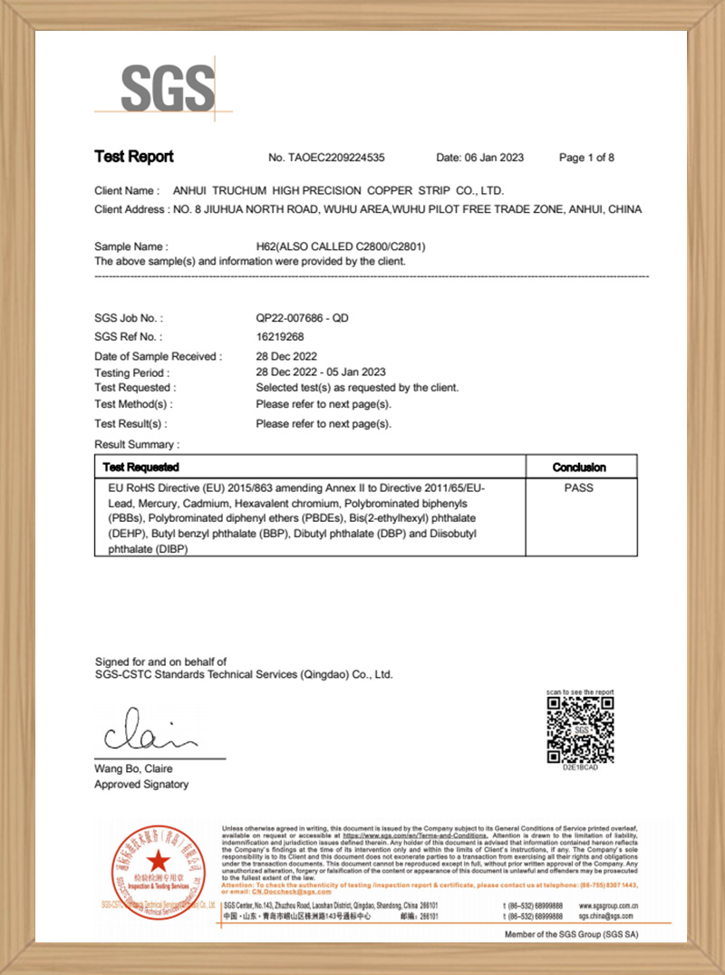 SGS - Test Report